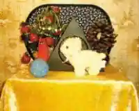 Рис 11.